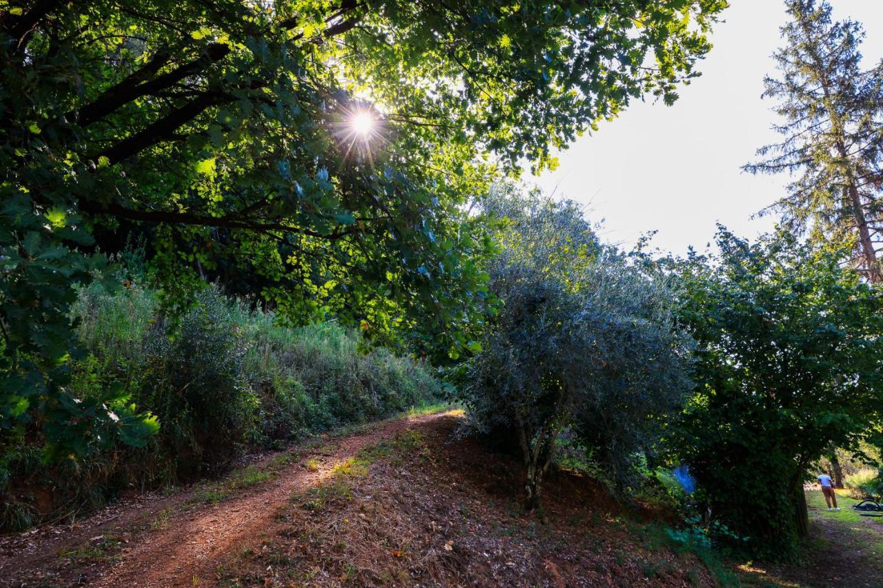 מונטה קטיני טרמה Agriturismo Terra Volonteri מראה חיצוני תמונה