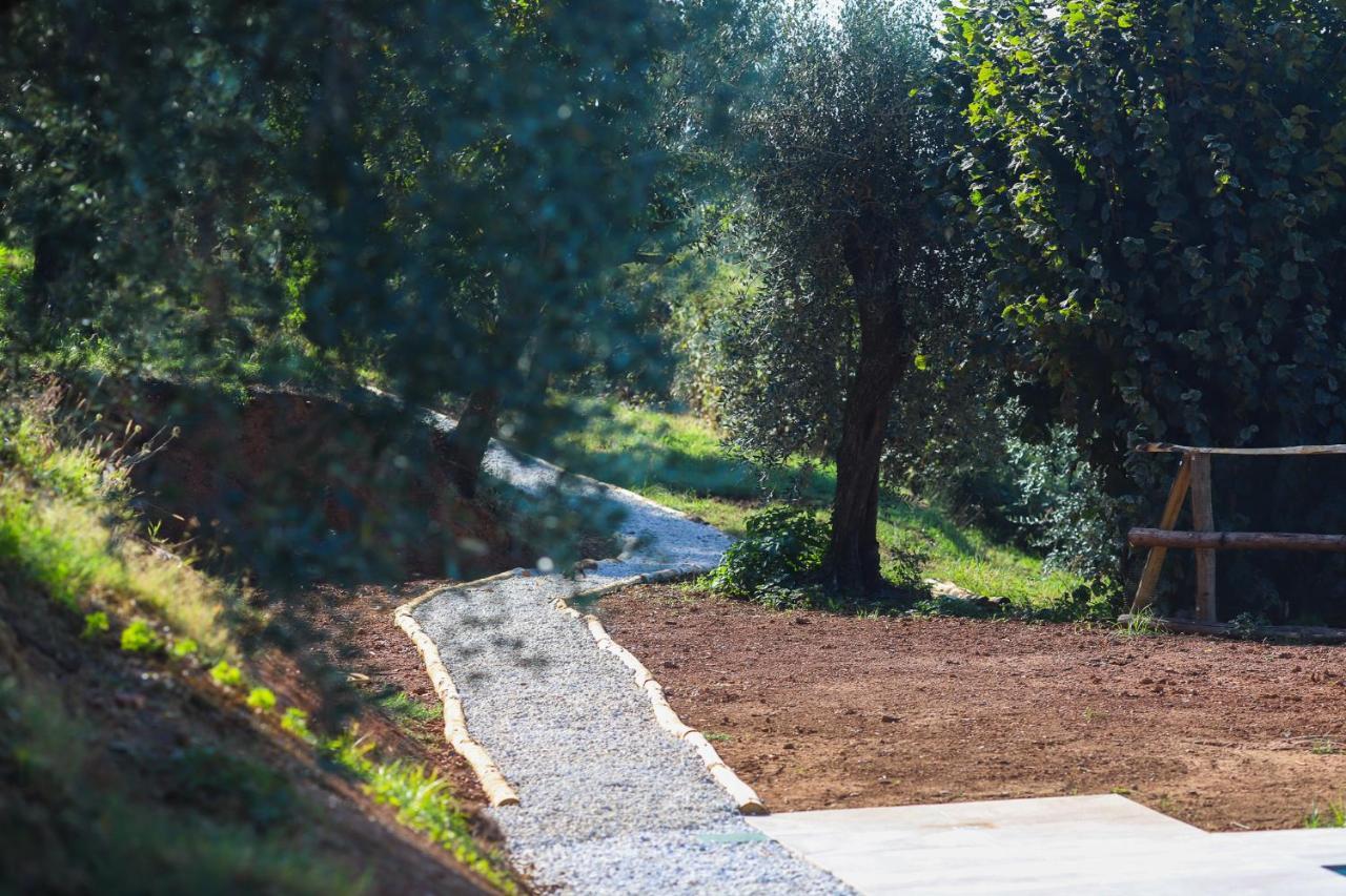 מונטה קטיני טרמה Agriturismo Terra Volonteri מראה חיצוני תמונה