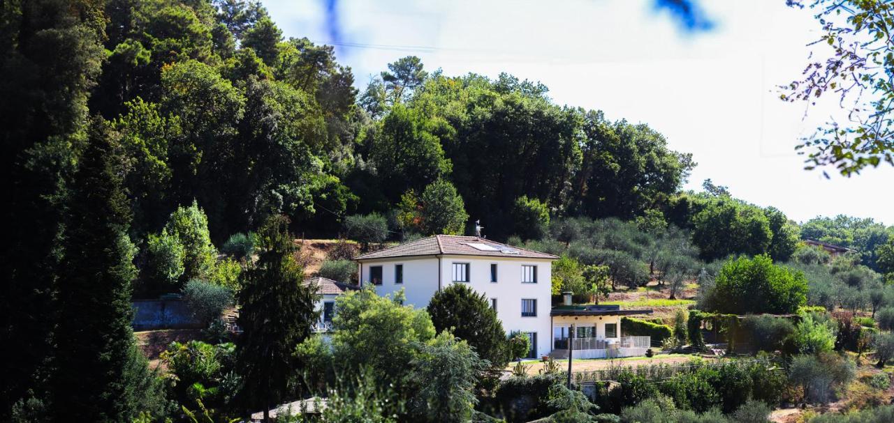 מונטה קטיני טרמה Agriturismo Terra Volonteri מראה חיצוני תמונה