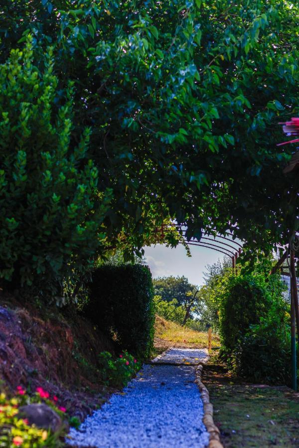 מונטה קטיני טרמה Agriturismo Terra Volonteri מראה חיצוני תמונה
