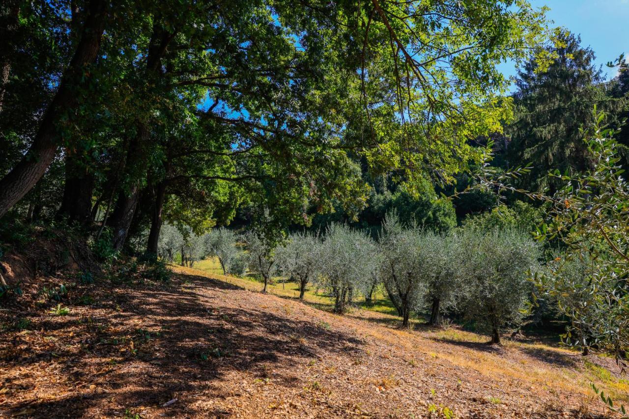 מונטה קטיני טרמה Agriturismo Terra Volonteri מראה חיצוני תמונה