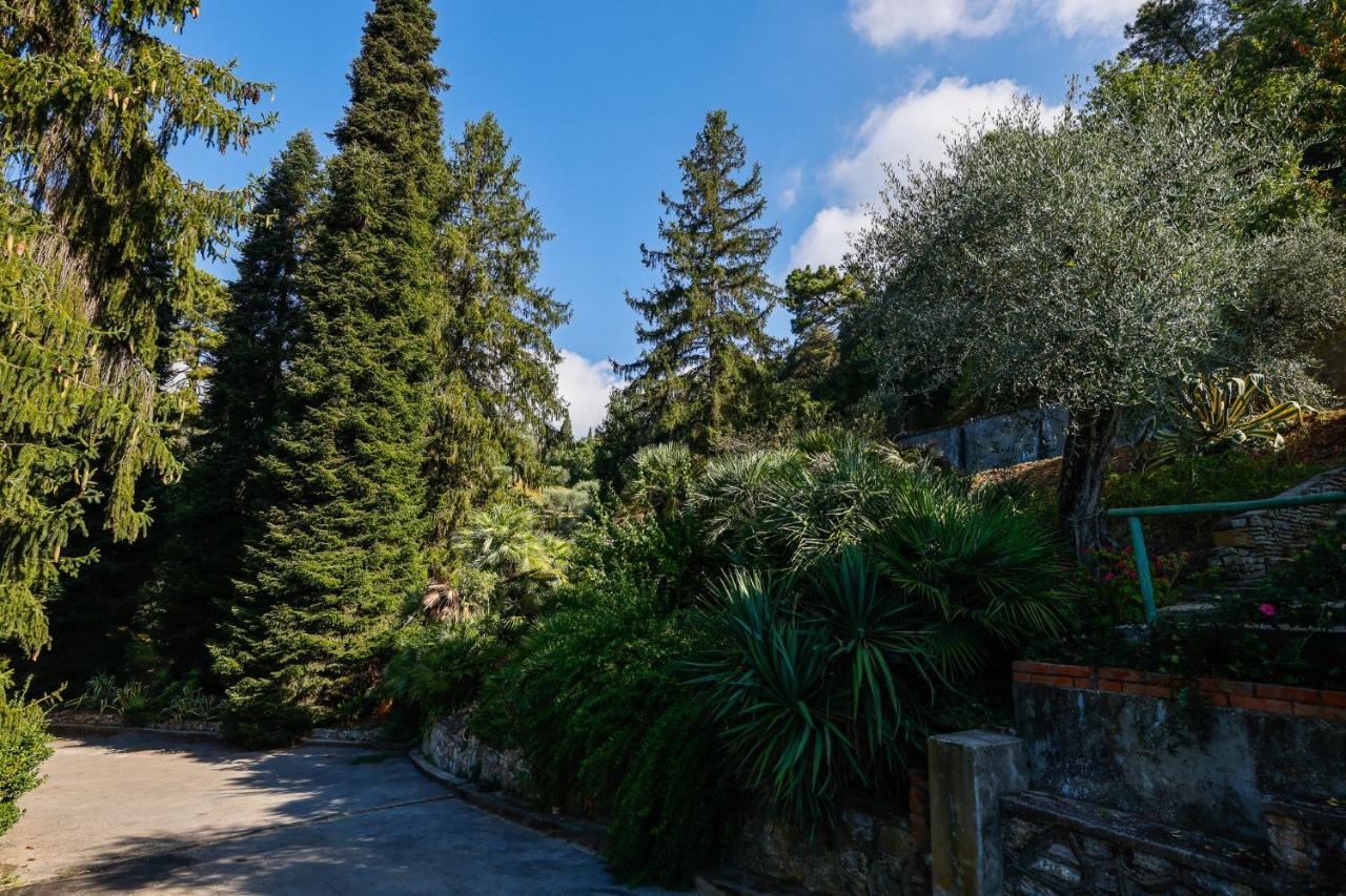 מונטה קטיני טרמה Agriturismo Terra Volonteri מראה חיצוני תמונה