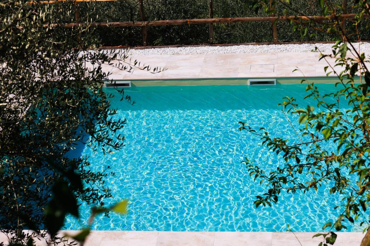 מונטה קטיני טרמה Agriturismo Terra Volonteri מראה חיצוני תמונה
