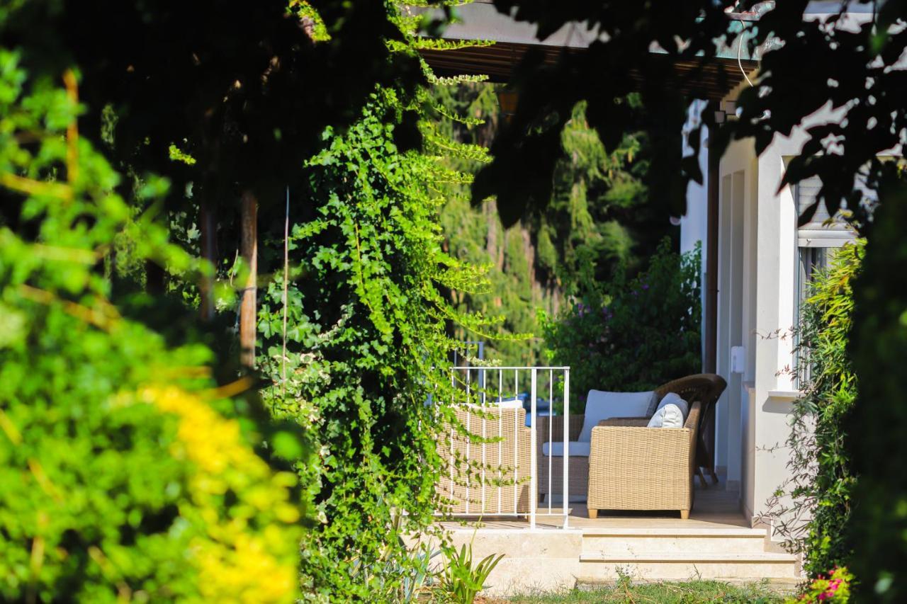 מונטה קטיני טרמה Agriturismo Terra Volonteri מראה חיצוני תמונה